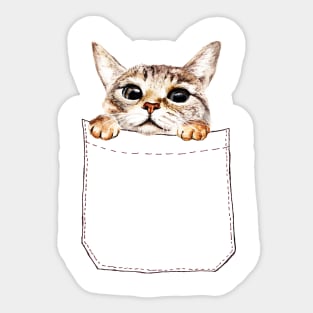 Pocket cat Sticker